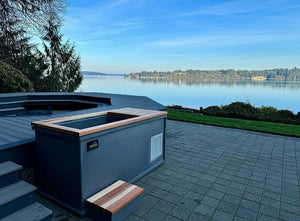 submerging your body in ice-cold water