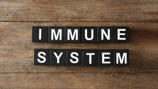 The Impact of Cold Plunge Therapy on the Immune System