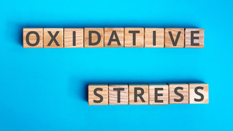 Cold Therapy’s Role in Reducing Oxidative Stress