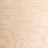 Basswood